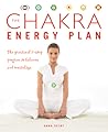 The Chakra Energy...