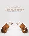 Dog to Dog Communication: The Right Way to Socialize Your Dog