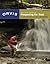 Orvis Guide to Prospecting ...