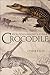 Crocodile by Lynne  Kelly