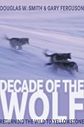 Decade of the Wolf: Returning the Wild to Yellowstone