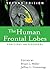 The Human Frontal Lobes: Functions and Disorders