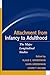 Attachment from Infancy to Adulthood: The Major Longitudinal Studies