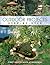 Outdoor Projects: Step-by-Step