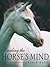 Reading the Horses Mind