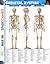 Skeletal System