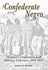 The Confederate Negro: Virginia's Craftsmen and Military Laborers, 1861-1865