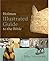 Holman Illustrated Guide to the Bible