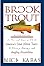 Brook Trout