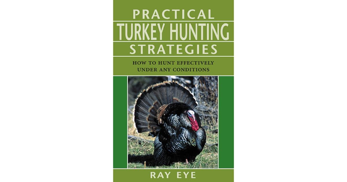 Practical Turkey Hunting Strategies How to Hunt Effectively Under Any