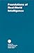 Foundations of Real World Intelligence (Volume 125) by Yoshinori Uesaka