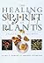 The Healing Spirit of Plants: A Practical Guide to Plant Spirit Medicine