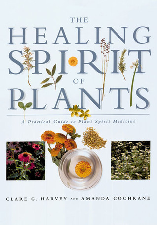 The Healing Spirit of Plants: A Practical Guide to Plant Spirit Medicine (Paperback)