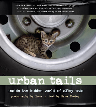 Urban Tails: Inside the Hidden World of Alley Cats (Hardcover)