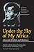 Under The Sky Of My Africa: Alexander Pushkin And Blackness (Studies in Russian Literature and Theory (Paperback))