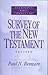 Survey of the New Testament