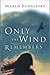 Only the Wind Remembers by Marlo Schalesky