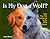 Is My Dog a Wolf? by Jenni Bidner