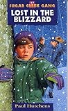 Lost in the Blizzard (Sugar Creek Gang, #17)