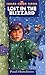 Lost in the Blizzard (Sugar Creek Gang, #17)