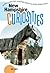 New Hampshire Curiosities by Eric  Jones