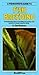 A Fishkeeper's Guide to Fish Breeding by Chris   Andrews