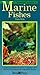 A Fishkeeper's Guide to Marine Fishes: A Superbly Illustrated Introduction to Keeping Marine Tropical Fishes, Featuring over 50 Magnificent Species