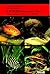 Cichlids from West Africa: A Handbook for Their Identification, Care, and Breeding