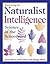 Discovering the Naturalist Intelligence: Science in the Schoolyard