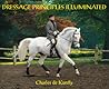 Dressage Principles Illuminated