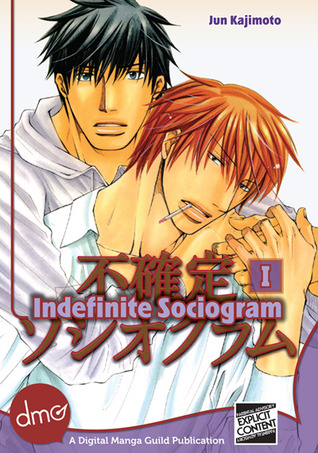 Indefinite Sociogram Vol. 1 (Kindle Edition)