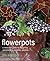 Flowerpots: A Seasonal Guid...