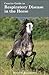 Concise Guide to Respiratory Disease in the Horse by David W. Ramey