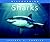 Sharks (Discovering)