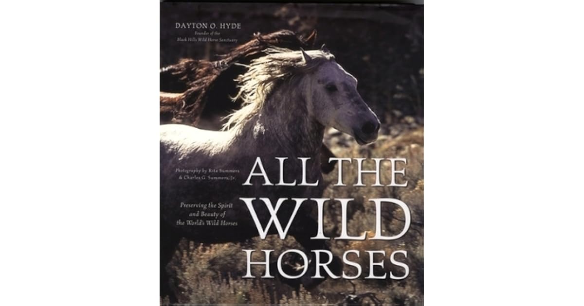 All the Wild Horses Preserving the Spirit and Beauty of