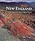 Wild New England by Stephen Gorman