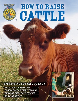 How To Raise Cattle: Everything You Need To Know