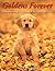 Goldens Forever by Todd R. Berger