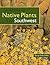 Landscaping with Native Plants of the Southwest