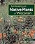 Landscaping with Native Plants of Wisconsin by Lynn M. Steiner