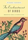 An Enchantment of...