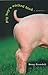 Pig Boy's Wicked Bird: A Me...