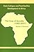 State Collapse and Post-Conflict Development in Africa by Abdullah Mohamoud
