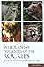 Wilderness Predators of the...