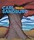 Poetry for Young People by Carl Sandburg Poetry for Young People by Carl Sandburg