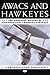 Awacs and Hawkeyes by Leigh Armistead