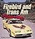 Firebird and Trans Am (Enthusiast Color)