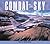 Combat in the Sky: The Art of Aerial Warfare