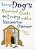 Every Cat's Survival Guide to Living with a Neurotic Owner