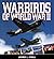 Warbirds Of Wwii